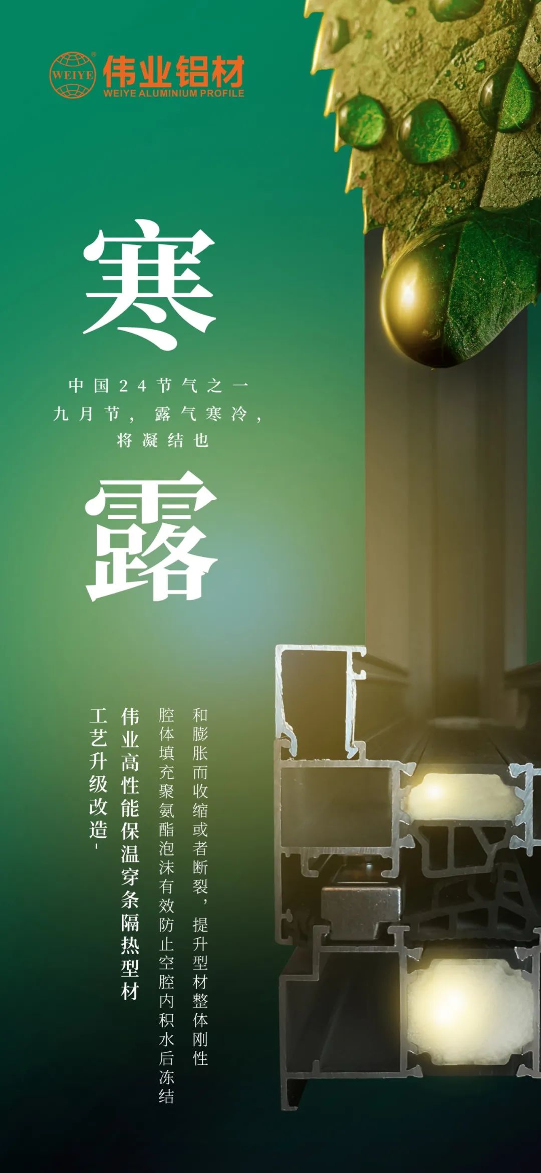 #寒露 九月节，露气寒冷，将凝固也 时光入深秋，岁月便深情